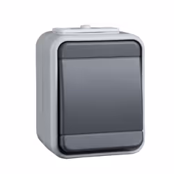 Schneider Electric 441609, Boutons, Gris, Thermoplastique, IP44, Résistant à l’eau, WEEE