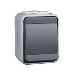 Schneider Electric 441609 interrupteur d'éclairage Thermoplastique Gris