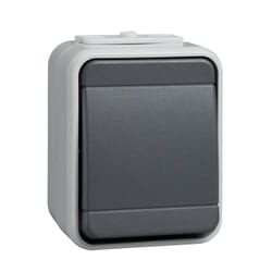 Schneider Electric 442109 interrupteur d'éclairage Thermoplastique Noir, Gris