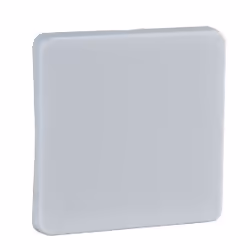 Schneider Electric 213604, Clé, Blanc, Duroplast, ELSO Scala ELSO Fashion ELSO Riva, IP20, 10 pièce(s)