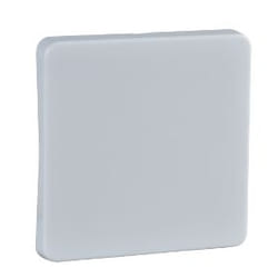 Schneider Electric 213604 accessoire de commutation électrique Clé