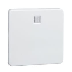 Schneider Electric 213614 accessoire de commutation électrique Clé