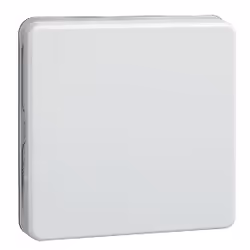 Schneider Electric 233604, Clé, Blanc, Termodurcissable, IP44, 10 pièce(s)