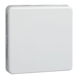 Schneider Electric 233604 accessoire de commutation électrique Clé