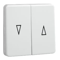 Schneider Electric 233804 accessoire de commutation électrique Clé