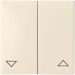 Schneider Electric 273804 accessoire de commutation électrique Clé