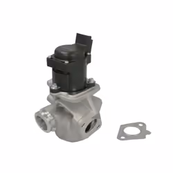 Vanne EGR WAHLER 711020D