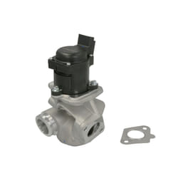 Vanne EGR WAHLER 711020D