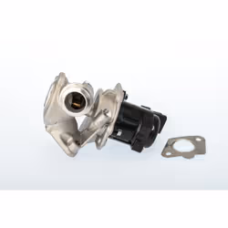 Vanne EGR WAHLER 711020D
