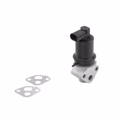 Vanne EGR WAHLER 710778D0