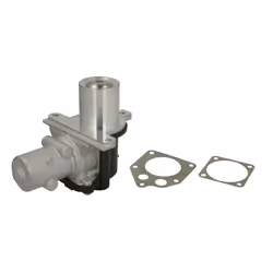 Vanne EGR WAHLER 710928D