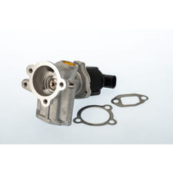 Vanne EGR WAHLER 710773D