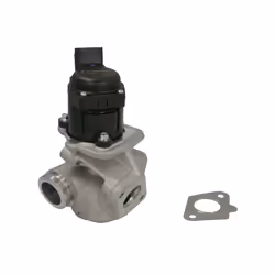 Vanne EGR WAHLER 710929D