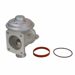 Vanne EGR WAHLER 710924D