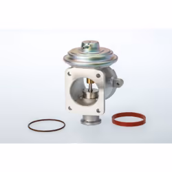Vanne EGR WAHLER 710924D