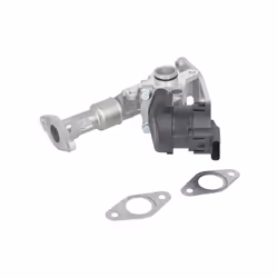 Vanne EGR WAHLER 7574D