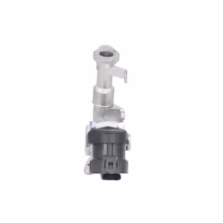 Vanne EGR WAHLER 7574D