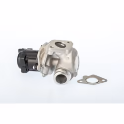 Vanne EGR WAHLER 711021D