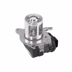 Vanne EGR WAHLER 710095D