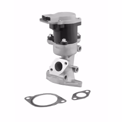 Vanne EGR WAHLER 710976D