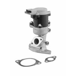 Vanne EGR WAHLER 710976D