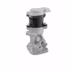 Vanne EGR WAHLER 710976D