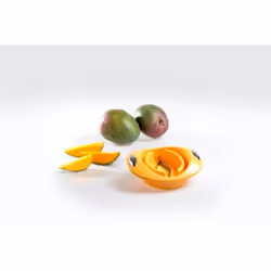 GSD 33027 moule pour cookies Orange