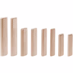 Festool D 12x100/100 BU, Biscuit, Hêtre, 1,2 cm, 10 cm, 100 pièce(s)