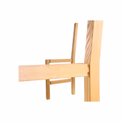 Festool DS/XL D8/D10 306 BU cheville en bois 309 pièce(s) Hêtre Biscuit