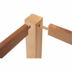 Festool DS/XL D8/D10 306 BU cheville en bois 309 pièce(s) Hêtre Biscuit