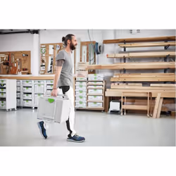 Festool D225 GR SYS 1 pièce(s) pâte sablée