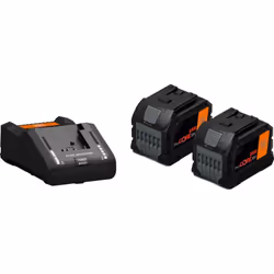 2 batteries ProCORE Li-Ion à cellules haute puissance avec chargeur rapide GAL 18V-160. Temps de charge courts grâce au coura ...