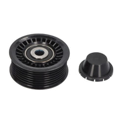 Galet enrouleur de courroie d'accessoire INA 532 0668 10