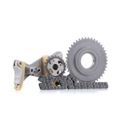 INA 559 0074 10 Kit de chaînes, commade de pompe à huile SEAT: Ibiza 4 Sportcoupe, Ibiza 3, Ibiza 4, VOLKSWAGEN: Polo III 3/5 portes, SKODA: Fabia 2