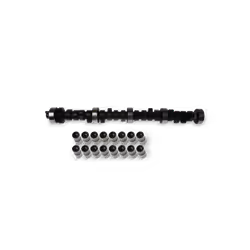 Jeu d'arbres à came; INA; pour VOLKSWAGEN, AUDI, SEAT, SKODA, VW; 038109101AH, 038109309A, 038109309B, 038109309C, 038109101A ...
