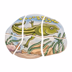 Beleduc Frog Jeu de puzzle 28 pièce(s) Animaux
