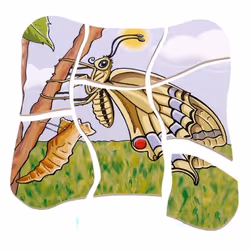 Beleduc Butterfly Puzzle en cubes 28 pièce(s) Animaux - Vue supplémentaire 4
