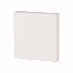 Eaton CWIZ-01/31, interrupteur à bascule, Blanc, Plastique, IP20, 55 mm, 55 mm