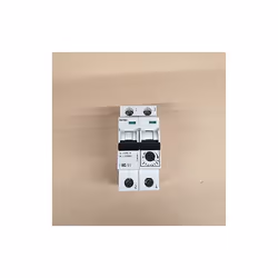 Protection du moteur. 2P. 0,63 A - 1 000 A.