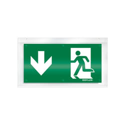 ESYLUX EN10079078 enseigne lumineuse et symbole Rectangle