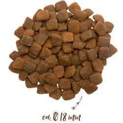 bosch Tiernahrung 4015598009225 Alimentation sèche pour chiens 2,5 kg Adulte Canard, Pomme de terre