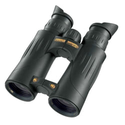 Steiner Nighthunter xp 8x44 jumelle Noir