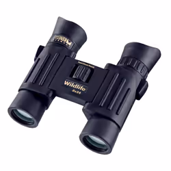 Steiner Wildlife 8x24, 8x, 2,4 cm, Imperméable, Noir, 310 g