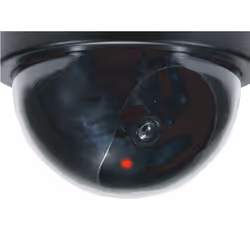 Conceptronic CFCAMD caméra de surveillance factice Noir Dôme