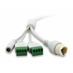 LevelOne FCS-3096 Dôme Caméra de sécurité IP Intérieure et extérieure 3840 x 2160 pixels Plafond/mur