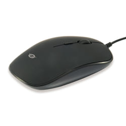 Conceptronic REGAS01B souris Ambidextre USB Type-A Optique 1200 DPI