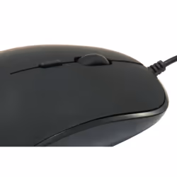 Conceptronic REGAS01B souris Ambidextre USB Type-A Optique 1200 DPI