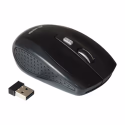 Equip 245104 souris Ambidextre RF sans fil Optique 1600 DPI
