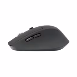 Conceptronic Lorcan Ergo souris Droitier Bluetooth 1600 DPI