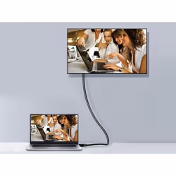 Equip 119251 câble DisplayPort 1 m Noir - Vue supplémentaire 4